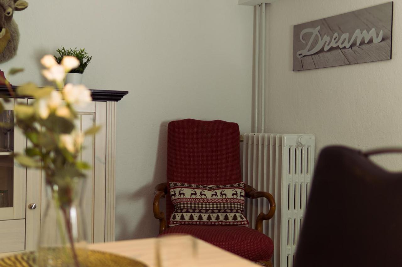 Apartment Hirsch: Wohnung Fuer Die Ganze Familie Mit Disney+ 브라운라제 외부 사진
